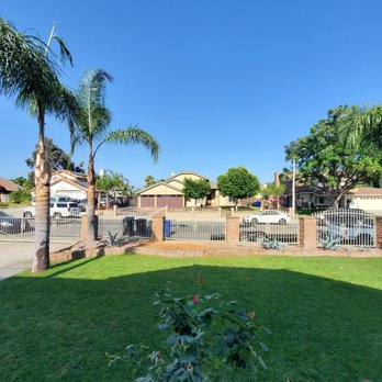 Alan's Tree Care - After #3 - Tree Services Near Me - Jurupa Valley, California