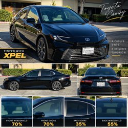 Lion Window Tinting