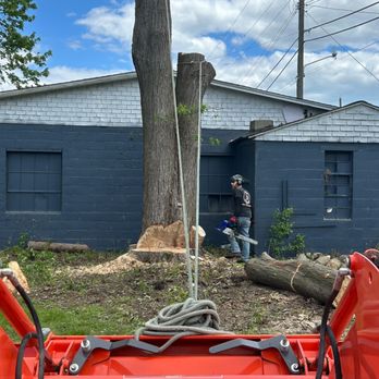 Huron Forestry - Tree Services Near Me Huron Forestry - Tree Services Near Me