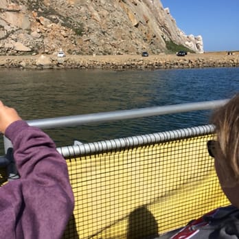 Sub Sea Tours - Sea otters - Rafting/Kayaking Near Me - Morro Bay, California Sub Sea Tours - Sea otters - Rafting/Kayaking Near Me - Morro Bay, California