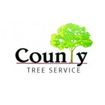 County Tree Service - Tree Services Near Me - Valley Park, Missouri County Tree Service - Tree Services Near Me - Valley Park, Missouri