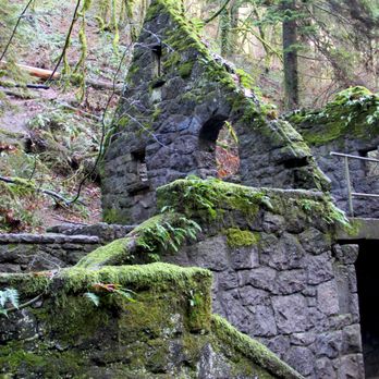 Wildwood Trail - Hiking Near Me - Portland, Oregon Wildwood Trail - Hiking Near Me - Portland, Oregon