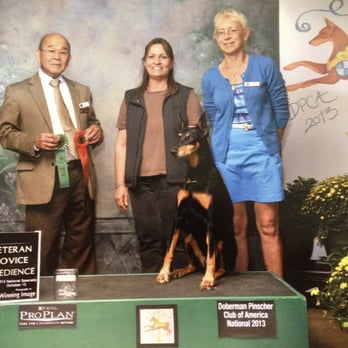 Patience Unlimited - Jetta at 12 yrs of age, 2nd place in Veteran Novice - Pet Training Near Me - Tucson, Arizona Patience Unlimited - Jetta at 12 yrs of age, 2nd place in Veteran Novice - Pet Training Near Me - Tucson, Arizona