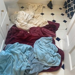 Martha's Vineyard Vacation Rentals & Real Estate - Bathroom with raw urine and feces