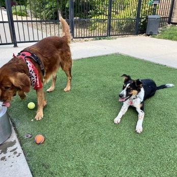 Solana Olde Town Station Apartments - Dog park - Apartments Near Me - Arvada, Colorado