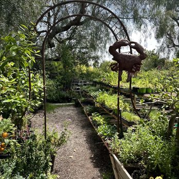 TOPANGA NURSERY - Updated August 2025 - 109 Photos & 62