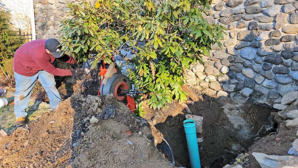 Slide of Master Rooter