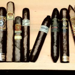Cigar Savvy