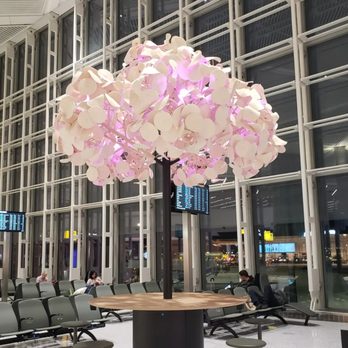 Newark New Terminal A - Airport Terminals Near Me - Newark, New Jersey