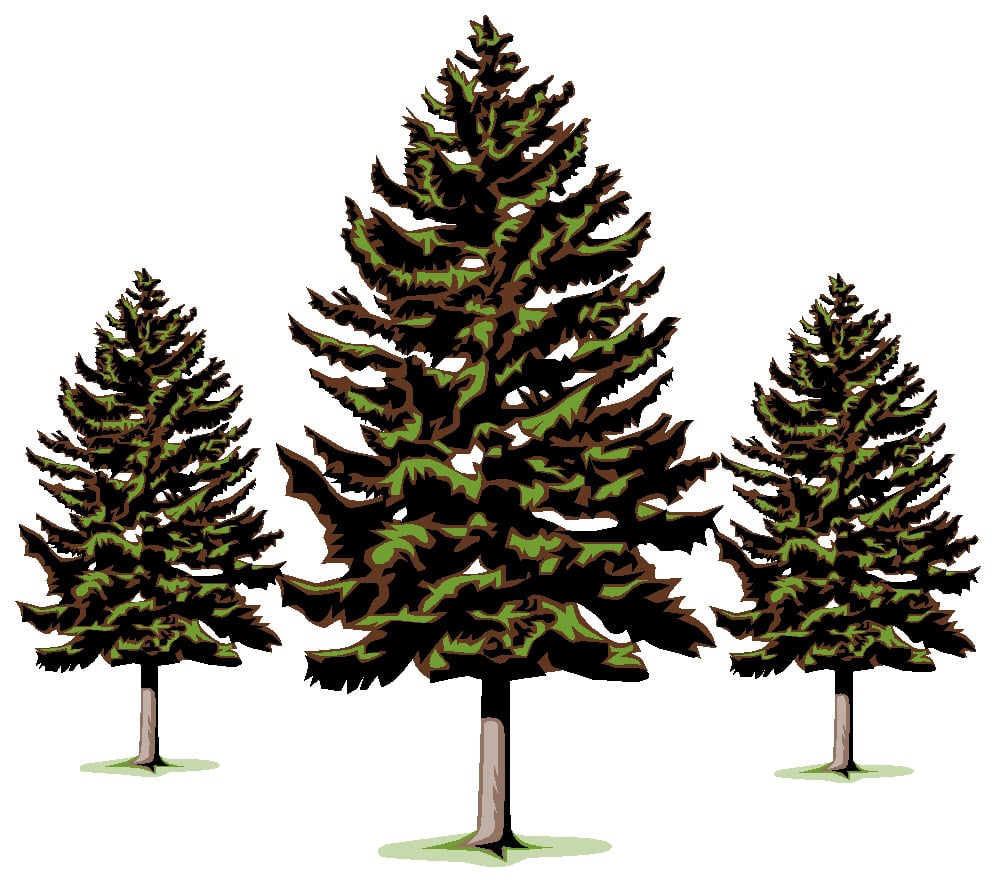 Redwood Country Kid's Club - childcare center in Rohnert Park, CA