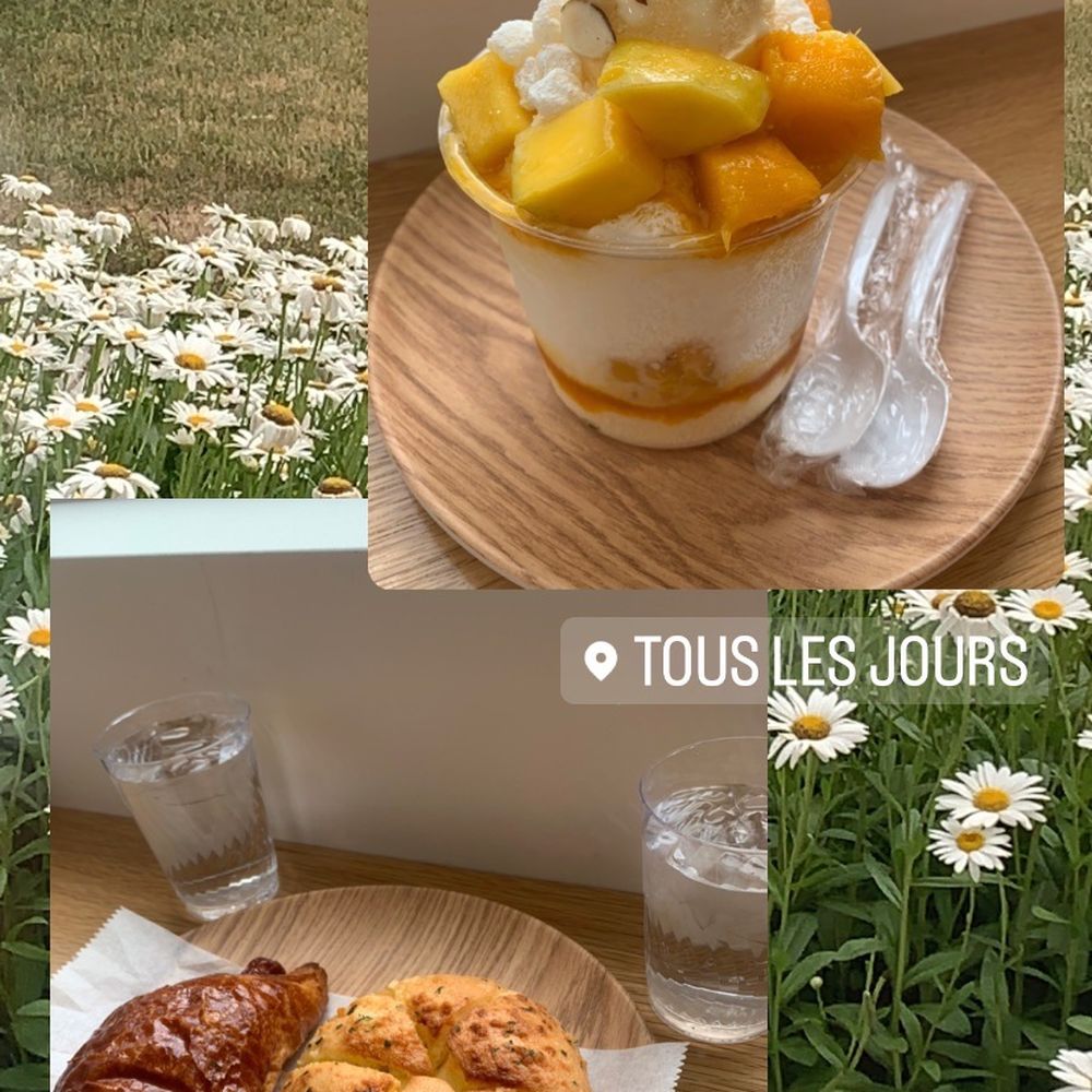Tous Les Jours - Bakeries Near Me - Troy, Michigan Tous Les Jours - Bakeries Near Me - Troy, Michigan