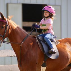 Lenux Stables & Riding Academy