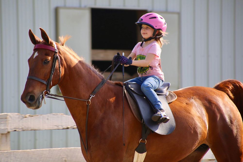 Lenux Stables & Riding Academy - equestrian in Huntersville, NC