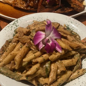 Bellyful - Reggae Pasta Plate - Bars Near Me - Brooklyn, New York Bellyful - Reggae Pasta Plate - Bars Near Me - Brooklyn, New York