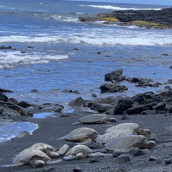 Punalu'u Black Sand beach - Black sand - Beaches Near Me Punalu'u Black Sand beach - Black sand - Beaches Near Me