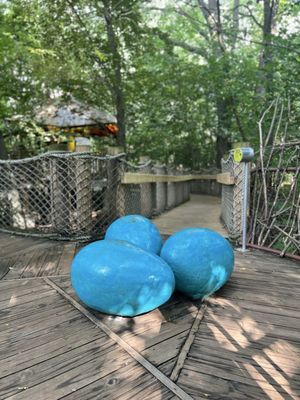 Frederik Meijer Gardens & Sculpture Park by null