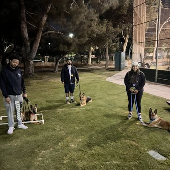 Rosewood K-9 - Doing Obedience and Socializing With Beanie GSD, Genesis and Elo Belgian Malinois - Pet Training Near Me Rosewood K-9 - Doing Obedience and Socializing With Beanie GSD, Genesis and Elo Belgian Malinois - Pet Training Near Me