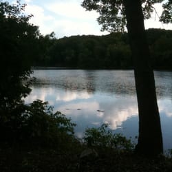 Vasa Park