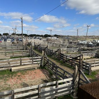 The Stockyards - The Stockyard cattle area - Local Flavor Near Me - Fort Worth, Texas The Stockyards - The Stockyard cattle area - Local Flavor Near Me - Fort Worth, Texas