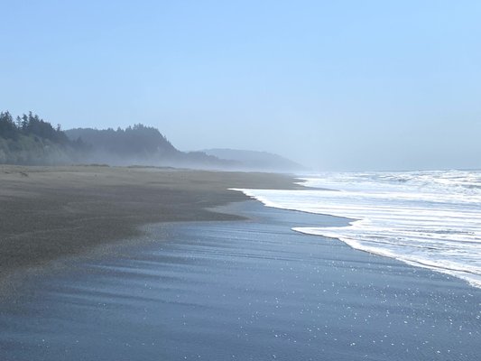Gold Bluffs Beach Campground by null