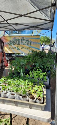 Corrales Growers Market by null