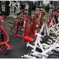 Megaflex Gym - Northlake