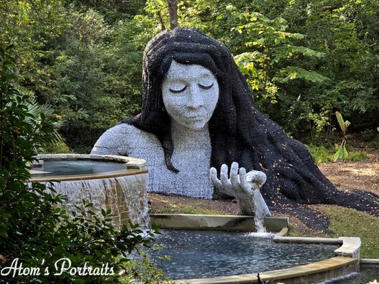 Atlanta Botanical Garden by null