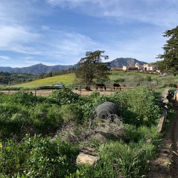 Los Padres Outfitters - Horseback Riding Near Me - Carpinteria, California Los Padres Outfitters - Horseback Riding Near Me - Carpinteria, California