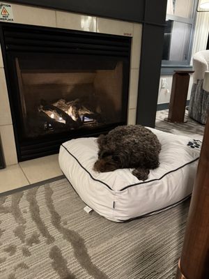 The Westin Monache Resort, Mammoth by null