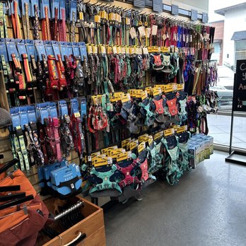 Mud Bay - Leashes & collars - Pet Stores Near Me - Portland, Oregon Mud Bay - Leashes & collars - Pet Stores Near Me - Portland, Oregon