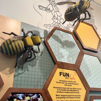 Bonnet Springs Park - Learning about bees. - Parks Near Me - Lakeland, Florida Bonnet Springs Park - Learning about bees. - Parks Near Me - Lakeland, Florida