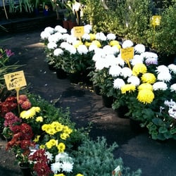 Kingsbury Drive Community Market