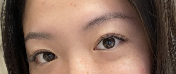 Glam Lash Extension by null