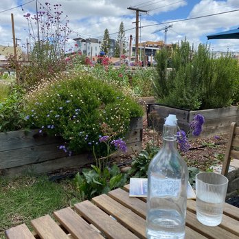 MAKE Cafe - On-site garden - Breakfast & Brunch Near Me - San Diego, California MAKE Cafe - On-site garden - Breakfast & Brunch Near Me - San Diego, California