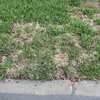 Hogan Landscapes - Landscaping Near Me Hogan Landscapes - Landscaping Near Me