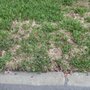 Hogan Landscapes