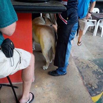 The Joint - Bars Near Me - Isla Mujeres, ROO The Joint - Bars Near Me - Isla Mujeres, ROO