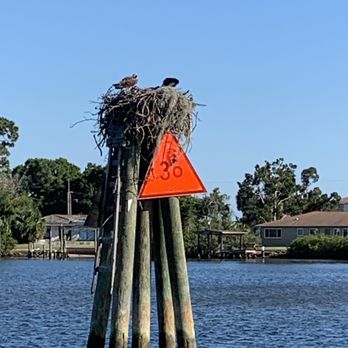 Spongeorama - Osprey nest. - Gift Shops Near Me - Tarpon Springs, Florida Spongeorama - Osprey nest. - Gift Shops Near Me - Tarpon Springs, Florida