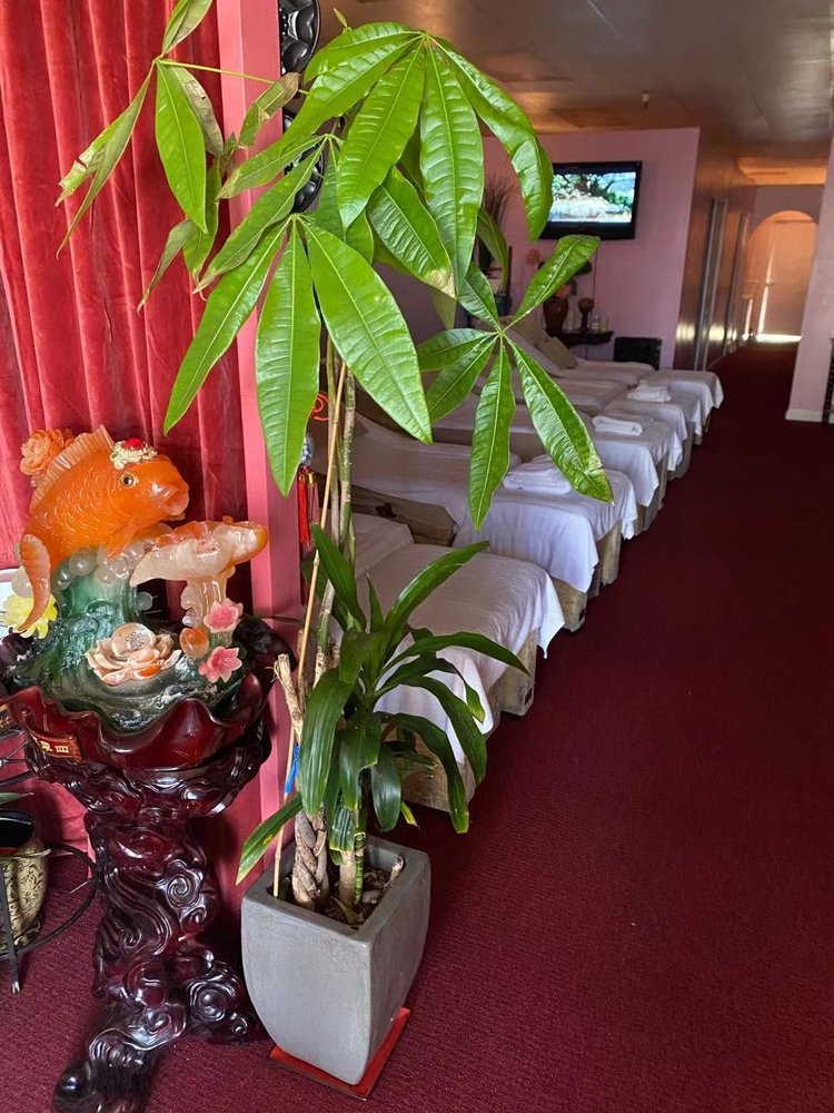 100 Benefits Massage, Los Gatos Roadtrippers