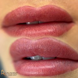 Brows by Sandra Noemi