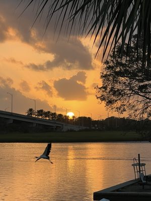Dockside Seafood Restaurant Jax Beach by null