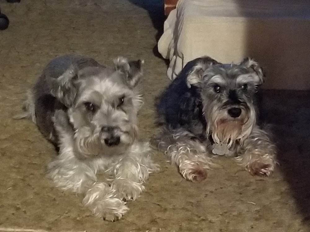 CLOVERDALE ANIMAL CLINIC 34610 Hwy 101 S, Cloverdale, Oregon