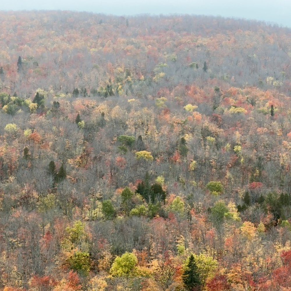 Lutsen Mountains - Ski Resorts Near Me - Lutsen, Minnesota Lutsen Mountains - Ski Resorts Near Me - Lutsen, Minnesota