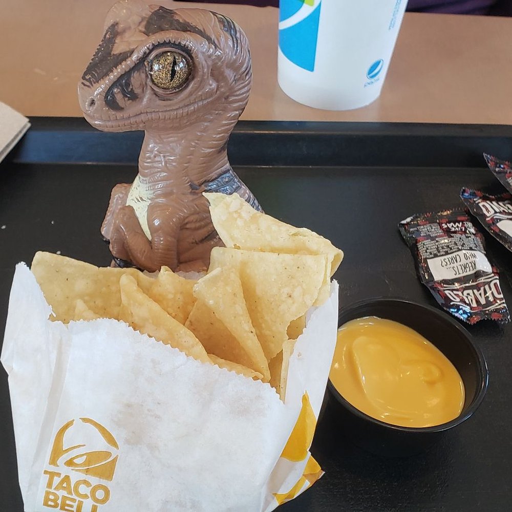 Taco Bell - Bob the Raptor says "These chips and cheese are a nice between hunt snack!" - Fast Food Near Me - Mentor, Ohio Taco Bell - Bob the Raptor says "These chips and cheese are a nice between hunt snack!" - Fast Food Near Me - Mentor, Ohio