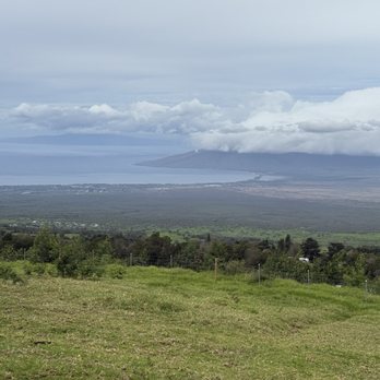 Moku Roots - Stunning views - Vegan Near Me - Kula, Hawaii