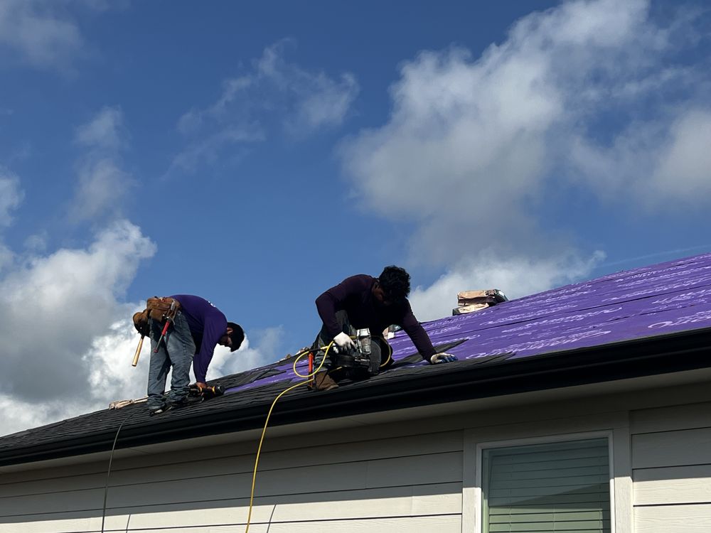 Slide of Mammoth Contracting