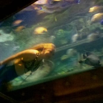 Dive Bar - Dive Bars Near Me - Sacramento, California
