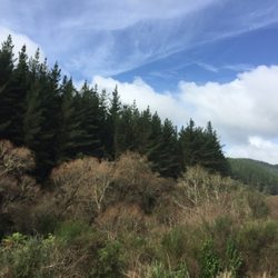 KiwiRail Scenic Journeys - Views from the KiwiRail train between Wellington and Auckland