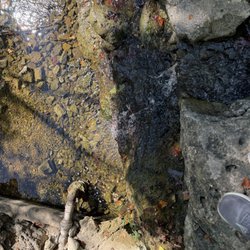 Waterfall Trail
