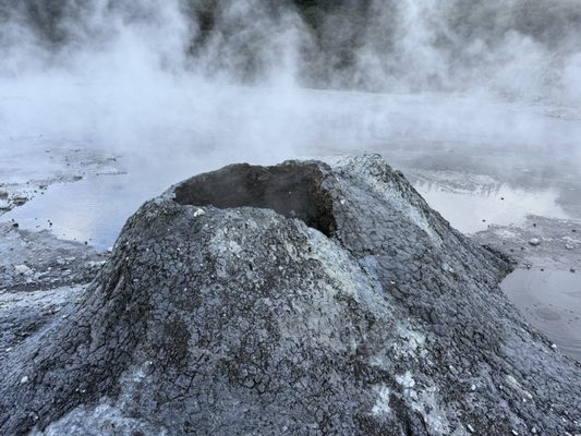 Hell's Gate Geothermal Reserve and Mud Spa by null
